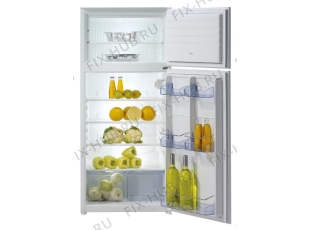 Холодильник Gorenje KK20 (118611, HZI2026) - Фото